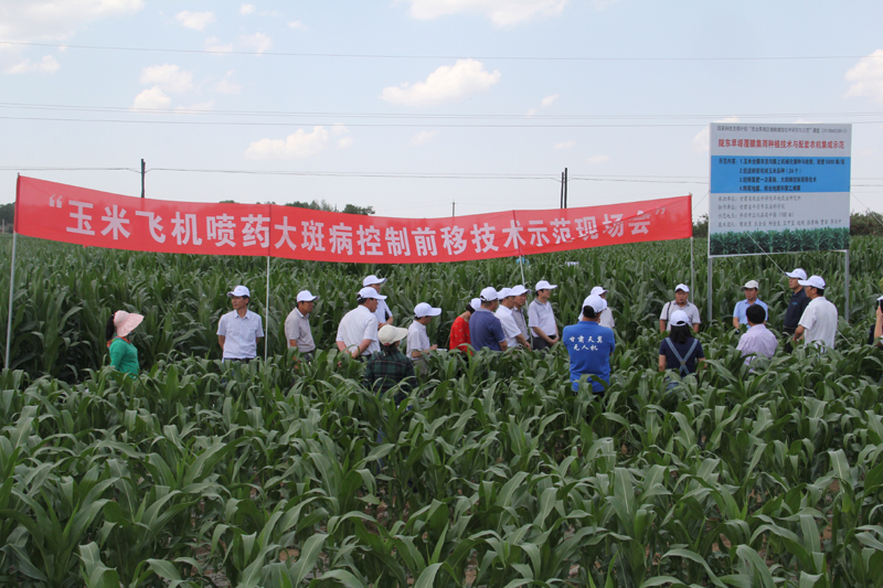 玉米飞喷示范技术现场会在市农科院高平实验站举行