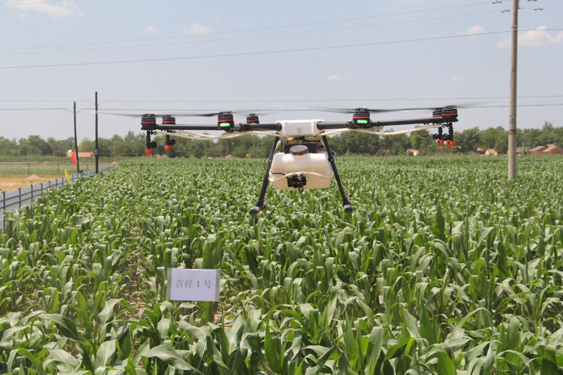 玉米飞喷示范技术现场会在市农科院高平实验站举行